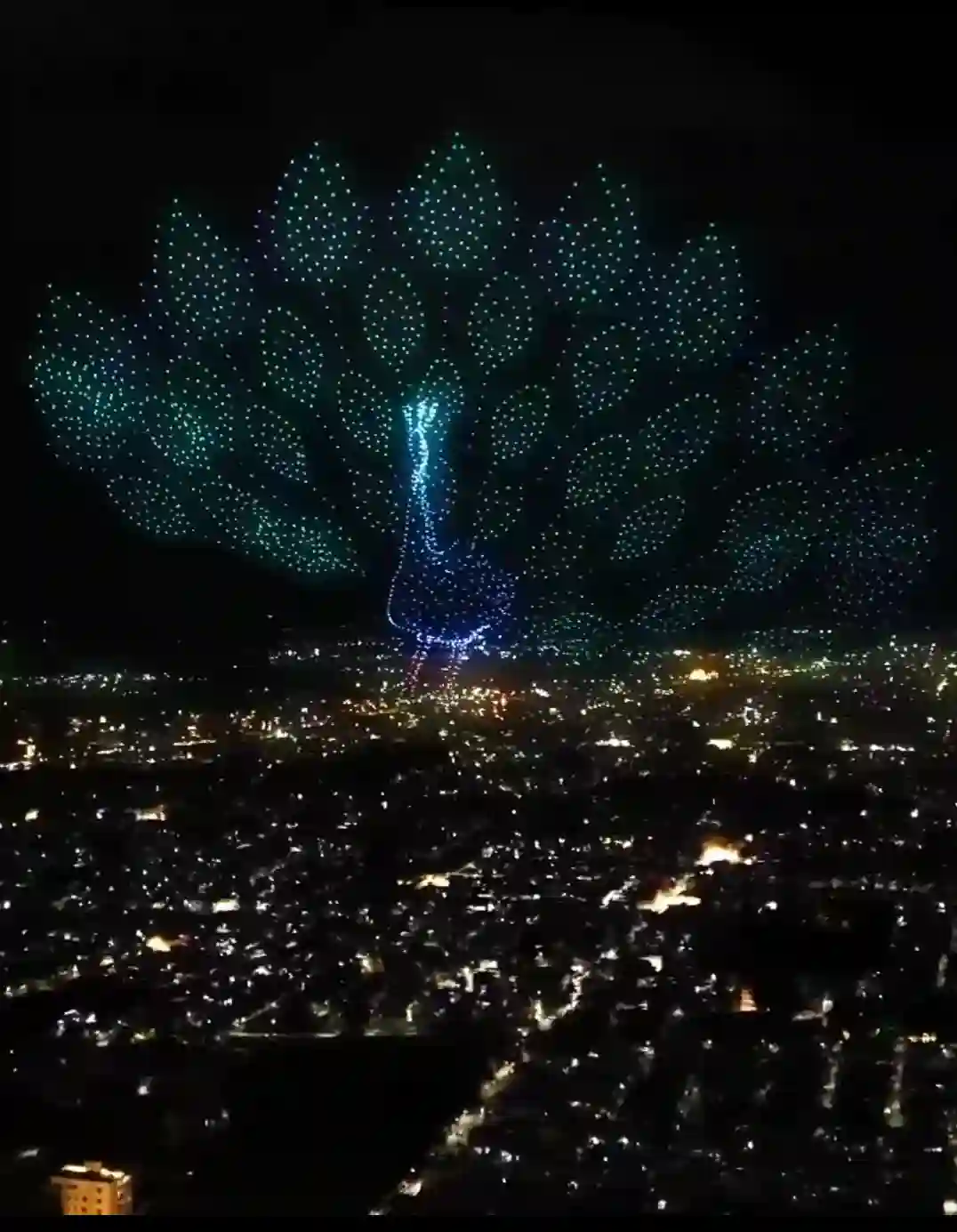 National Bird Of India Peacock Image In Mysore Dasara 2025 Drone Show.